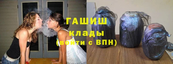 сатива Кинешма