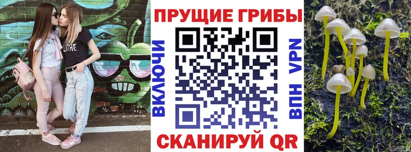 закладка  Дзержинск  MEGA зеркало  Псилоцибиновые грибы Cubensis 