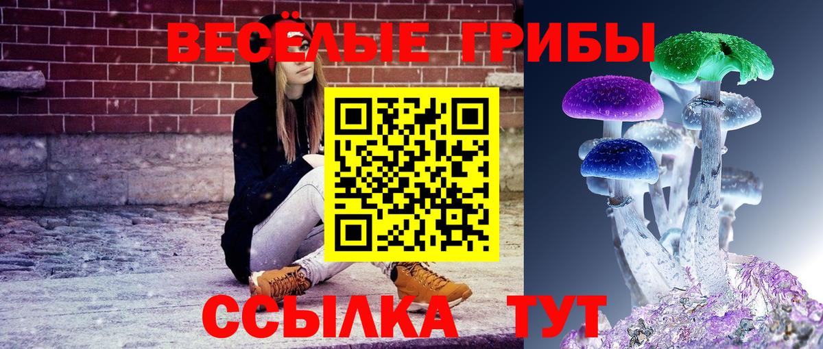Псилоцибиновые грибы Psilocybine cubensis Дзержинск
