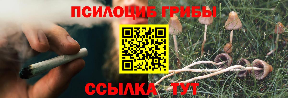 Псилоцибиновые грибы GOLDEN TEACHER  Дзержинск  Псилоцибиновые грибы мицелий 
