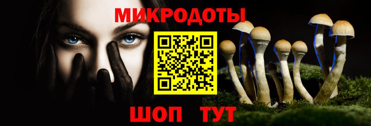 Галлюциногенные грибы GOLDEN TEACHER  Вход с VPN  Дзержинск 