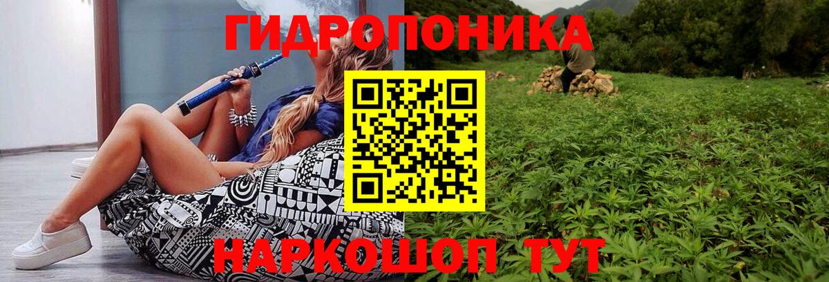 Шишки марихуана марихуана  Конопля марихуана  Дзержинск  Шишки марихуана ГИДРОПОН  Конопля индика 